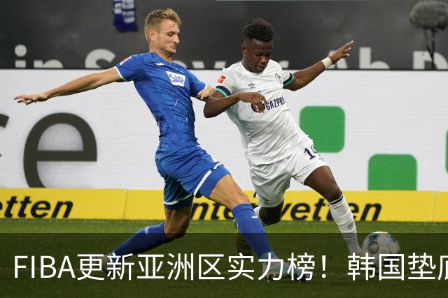 FIBA更新亚洲区实力榜！韩国垫底，日本第六，中国台北第八，中国男篮被高估！
